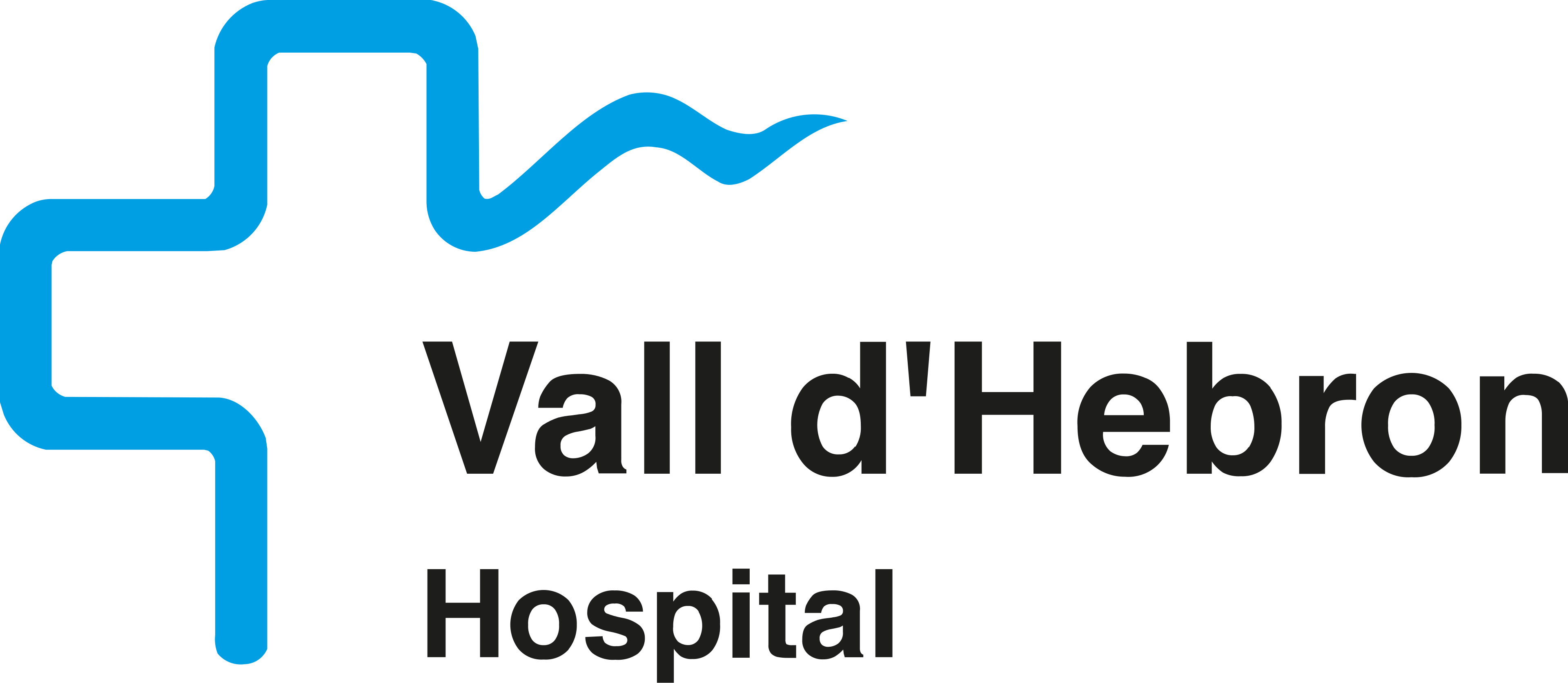 vallhebron Logo